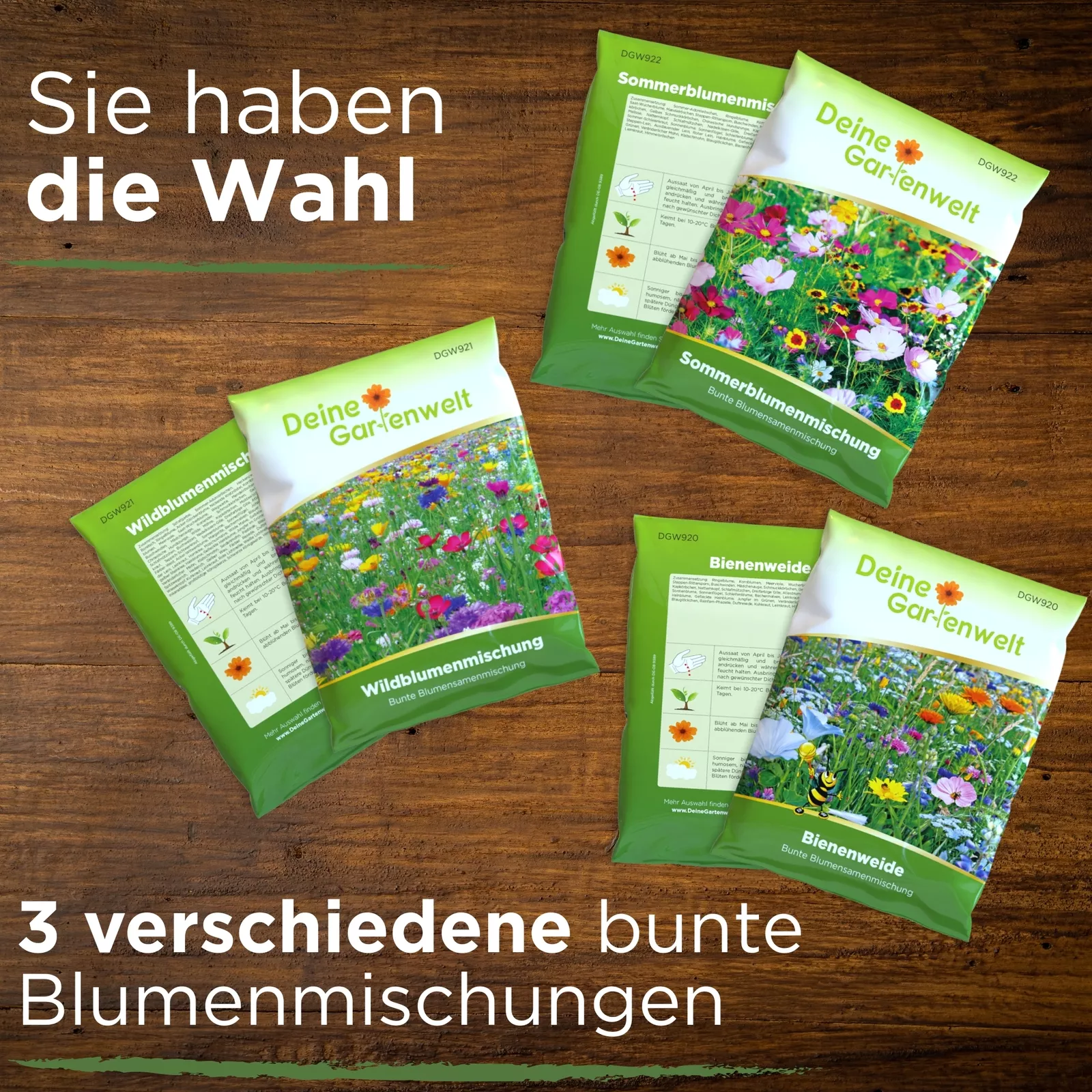 Bild 6 von 7