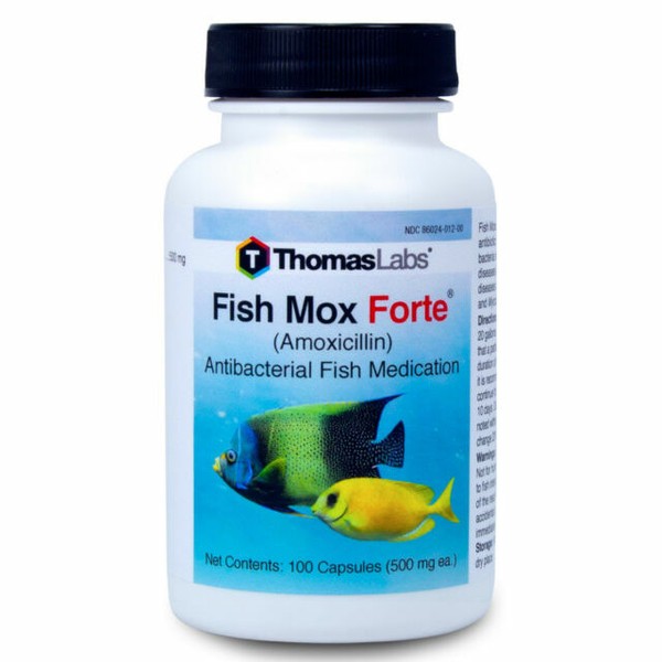 Fish Aquarium Anitibiotic Medicine Treatment Mox Tank 500mg 100 Count