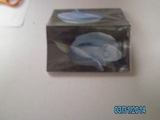 Beautiful blue rose Vinyl checkbook cover