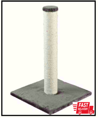 NEW Dark Gray Parla Scratching Post Cats of All Ages Prevent Carpet Scratches