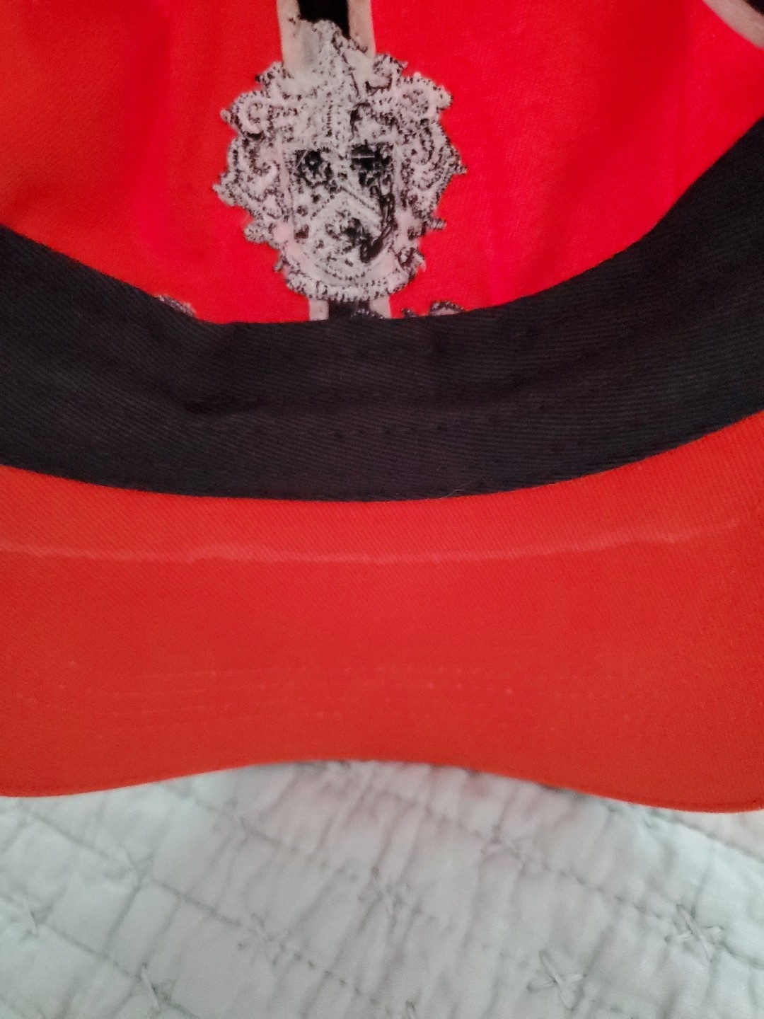 Bild 10 von 12