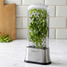 Nwt Prepara Stainless Steel Fresh Herb Saver ...