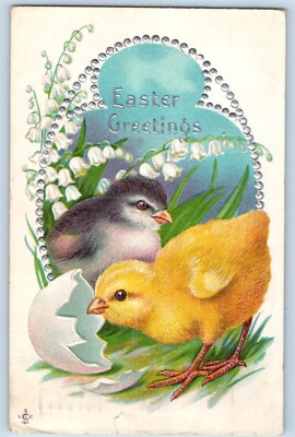Easter Postcard Greetings Little Chicks Hatched Egg Flowers Embossed 1913 Posted