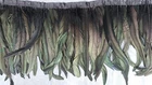 XL FEATHER FRINGE TASSEL, KING ROSTER FEATHER, TOP QUALITY