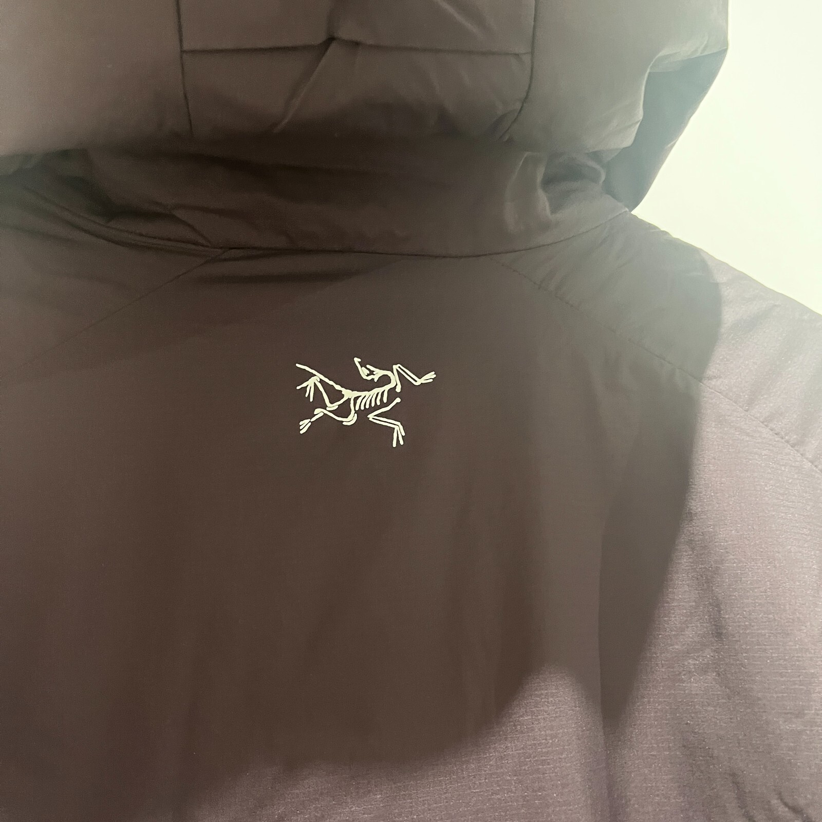 Arc'teryx Felpa Donna Chexa Hybrid con Cappuccio Taglia M Polaris