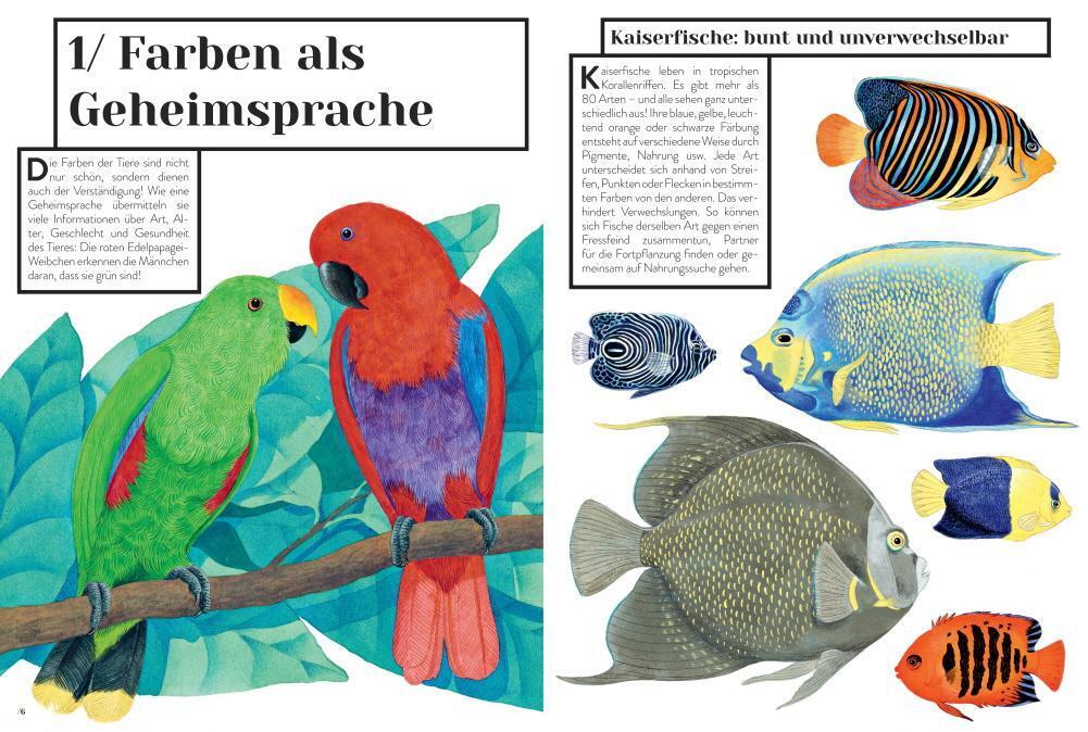 Thumbnail - Emmanuelle Figueras | Warum Wirst Du Denn Rot? | Buch | Deutsch (2021)