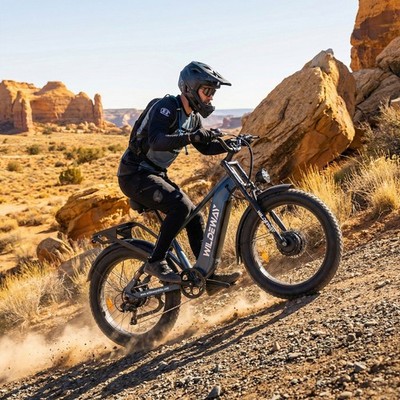 26*4,0''Fat-Tire WILDEWAY SOARED Elektrofahrrad mit zwei Motoren, 48V30Ah Akku EU