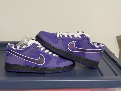 NEW Nike SB Low x Purple lobster size 9 men 