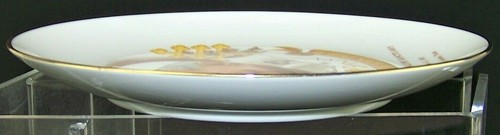 Pope John Paul II 8.5" Diamt. Collector Plate 1987 San Antonio, Texas Visit VNTG - Picture 4 of 8