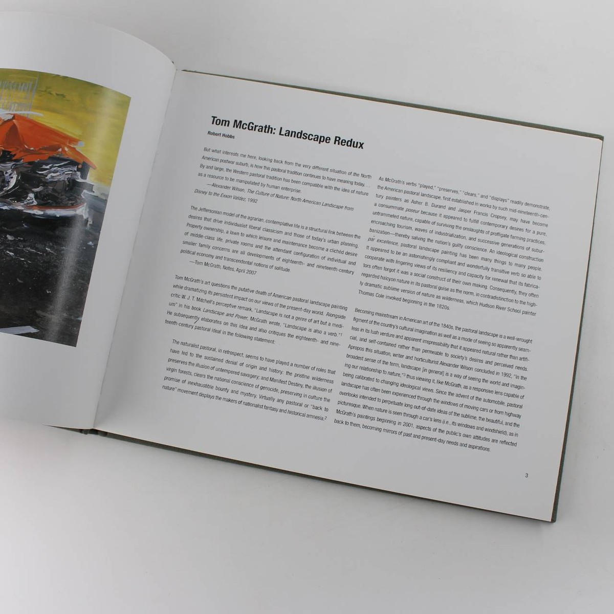 Tom McGrath: Paintings 2002-2007 book by Tom McGrath, Robert Hobbs, Kevin  Zucker