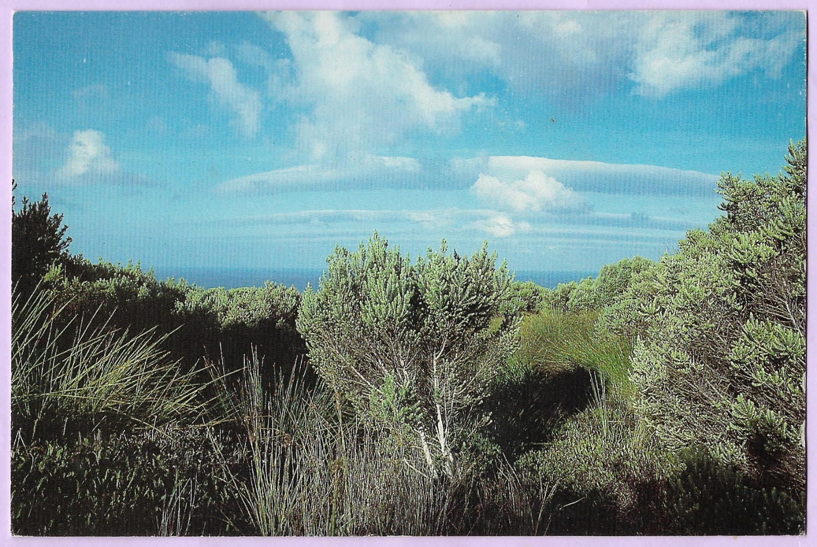 Foto 1 di 2