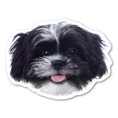 (Black and White) Shih Tzu Magnet