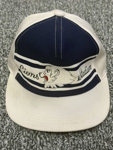 Saitama Seibu Lions Hat | eBay
