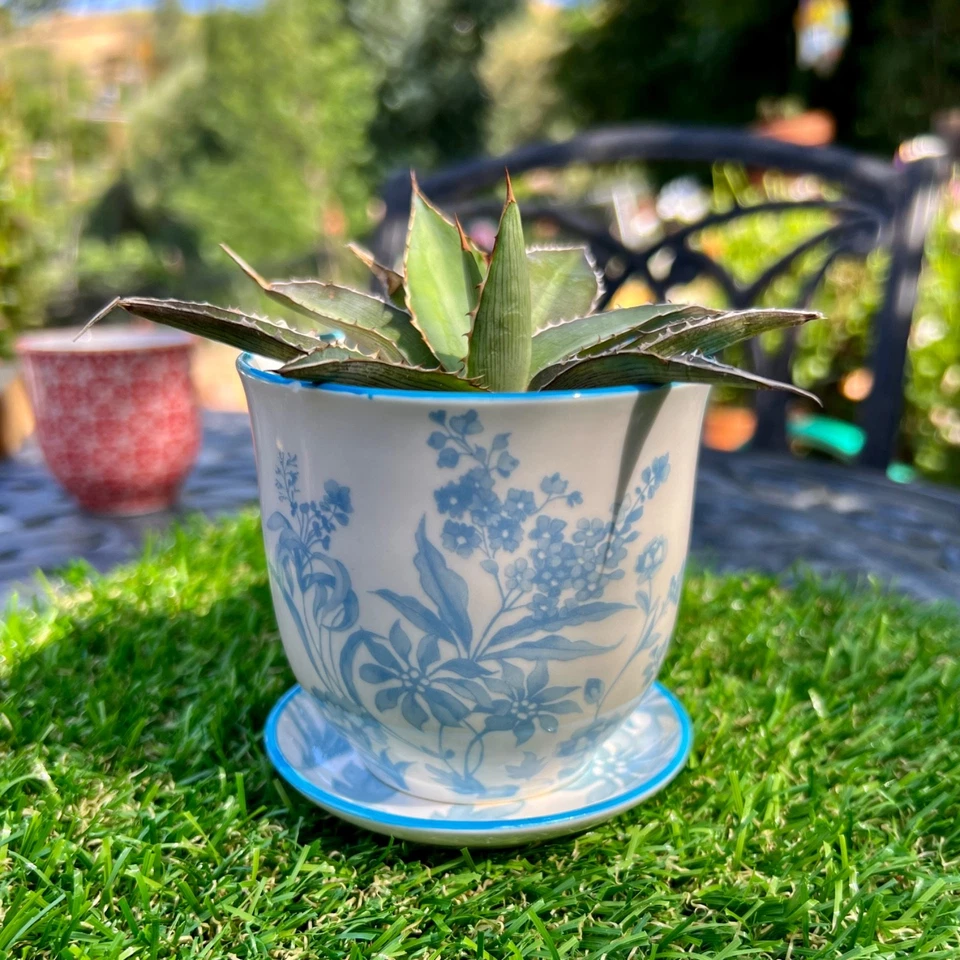 Set of 3 Multicolor Chive Planters-Indoor/Outdoor Gardening & Gift - Image 4 of 4