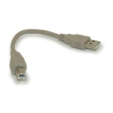 6inch USB 2.0 Certified 480Mbps Type A Male to B Male Cable Beige