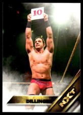 2016 Topps WWE NXT Tye Dillinger #28