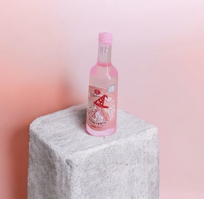 10 Tiny Pink Fairy Wine Bottles Resin Alcoholic Beverages 3D Witch Potion Drinks