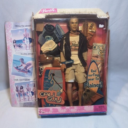 Vintage 2004 Mattel Barbie Cali Guy Blaine Doll W/ Surfing Gear Accessories