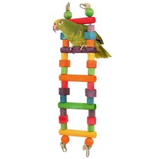 Rainbow Wooden Parrot Ladder Small African Grey Amazon Cockatoo Conure Macaw
