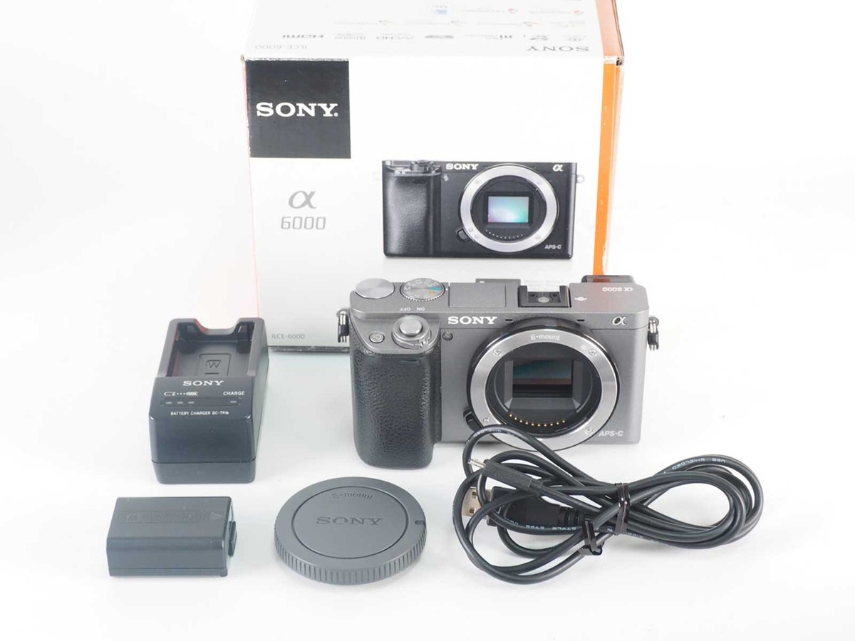 Sony a6000 ILCE-6000 Digital Camera Gray Body 22382 Shots w