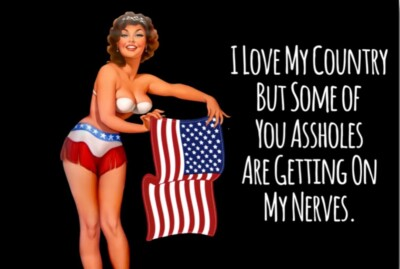 #ad #ad I Love My Country But Some of You Ass****Are Getting On My Nerves a 2”x3” Magnet $6.40