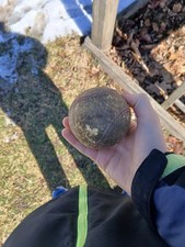baseball home run ball FROM BABE RUTH