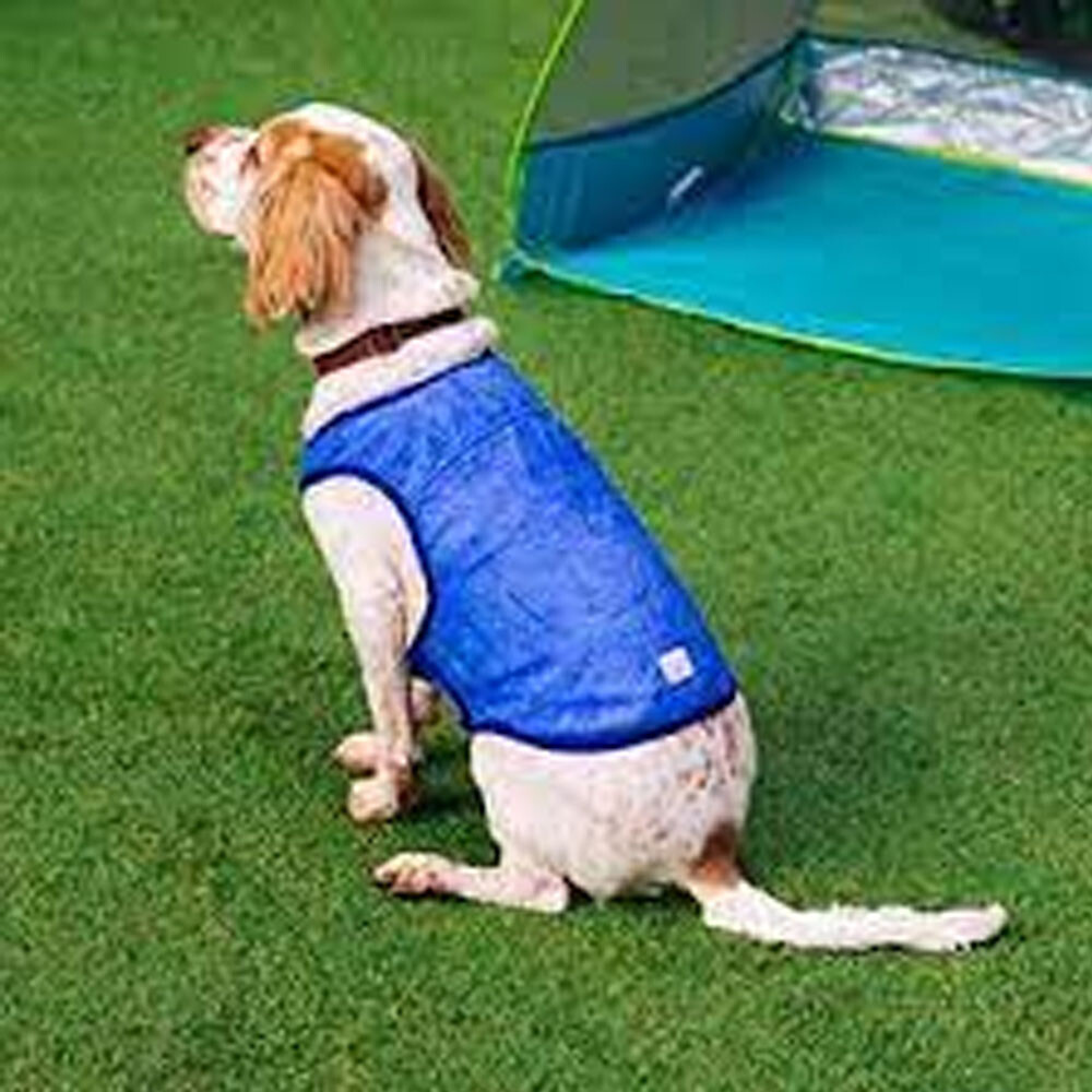 Crufts Cooling Vest Large Cool Summer Pet Dog on Hot Days for sale