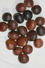 SEA BEANS,Beachy Gift Ideas , Ocean Hamburger Sea Beans, SS-19