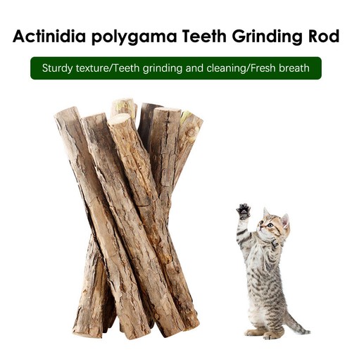 20Pcs Catnip Sticks Natural Plant Cat Teeth Cleaning Chew Toys Cat Molar Toys - Picture 8 of 18