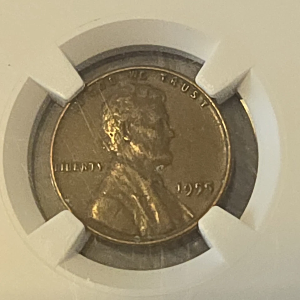 2000 - 2005 D P Sacagawea Coin Collection Lot Lincoln Wheat Penny 1955 NGC  - Image 2 of 4