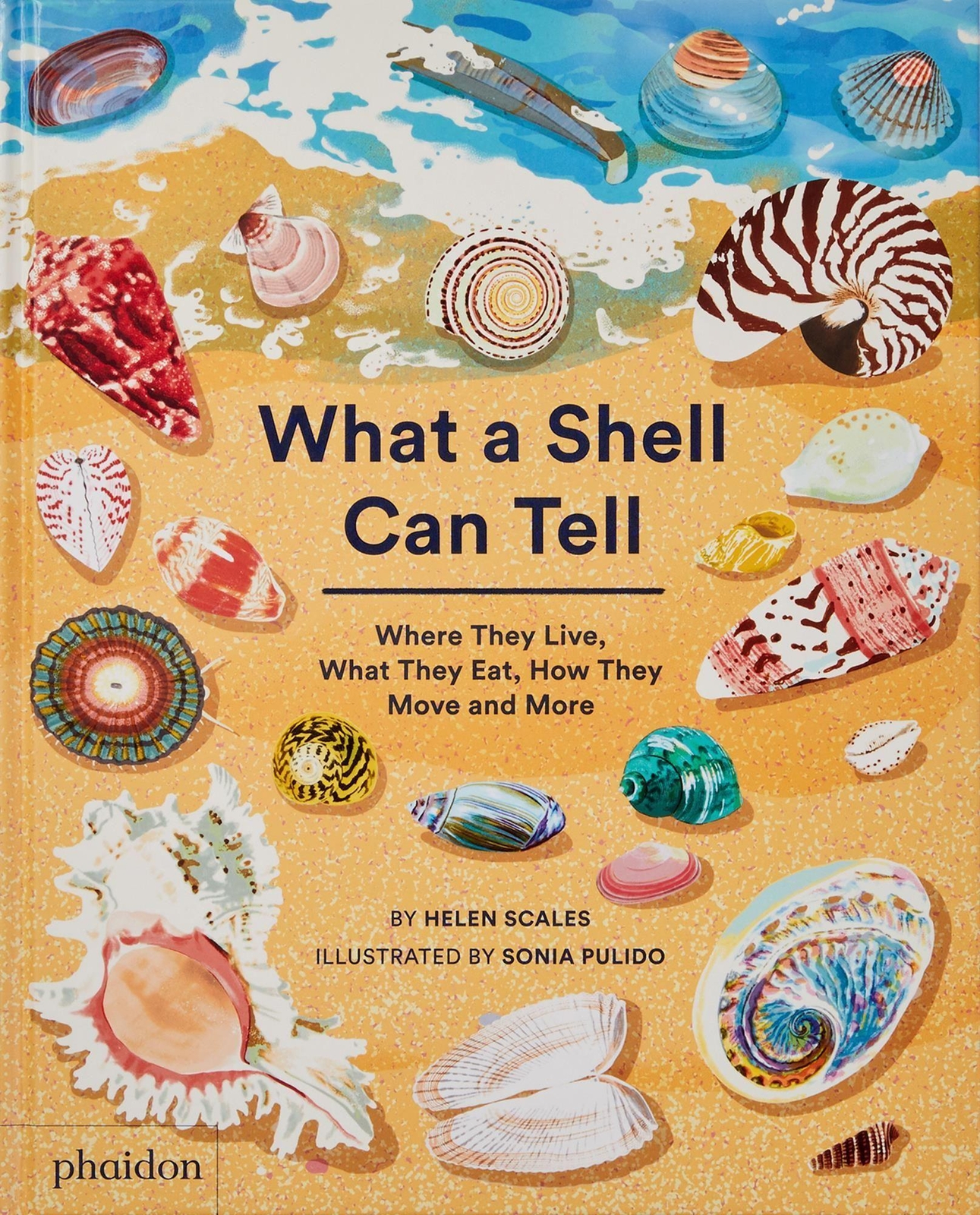 Thumbnail - What A Shell Can Tell | Helen Scales (u. A.) | Englisch | Buch | 48 S.