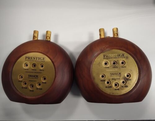 Coppia Super Tweeter TANNOY ST-200 PRESTIGE USATI JP - Foto 4 di 7