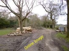 Photo 6x4 Fritham, timber In front of a barn North of Howen Farm; awaitin c2013