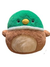 Squishmallows Avery the Mallard Duck