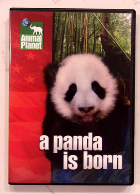 ANIMAL PLANET - A PANDA IS BORN DVD