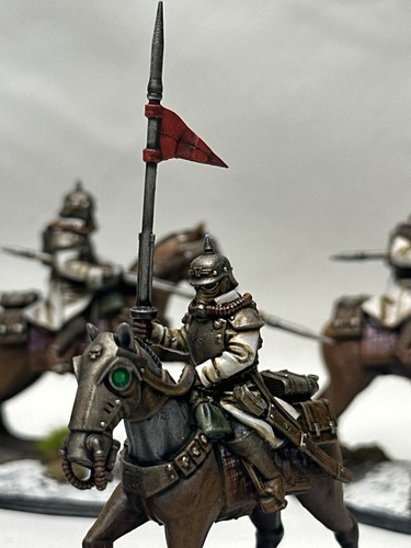 Death Riders Of Krieg Warhammer 40k Death Korps of Krieg COMMISSION PAINTED x10 - Picture 14 of 16
