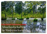 Markus Nix-Schmidt | Niedersachsens Moorlandschaften - Das Pietzmoor,...