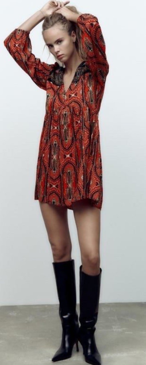 Zara embroidered Devore Floral Velvet Burnout Mini Dress Whimsigoth Witchy L thumbnail 2