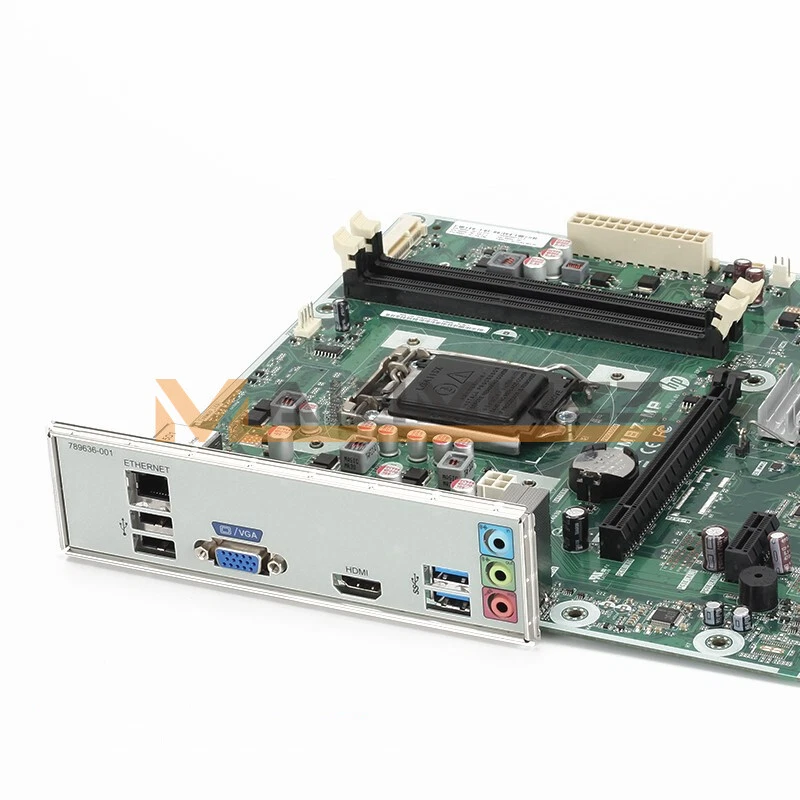 PEGATRON IPM31 INTEL G31 2x DDR2 RAM Socle 775 Micro ATX Desktop PC