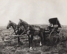 1908/52 Vintage WESTERN HORSE Carriage Range Manager 11x14 Art By ERWIN E. SMITH