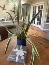 NWT- The Citizenry STONEWASHED ORGANIC COTTON PERCALE DUVET COVER King MSRP $199