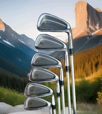 Titleist DCI Gold Iron Set 5-PW Stiff Graphite Men's RH Cavity Back Blades