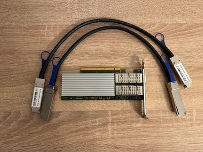 Intel E810-CQDA2 100Gb Netzwerkkarte Plus 2x 100G DAC Kabel