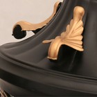 Picture 4 of 9