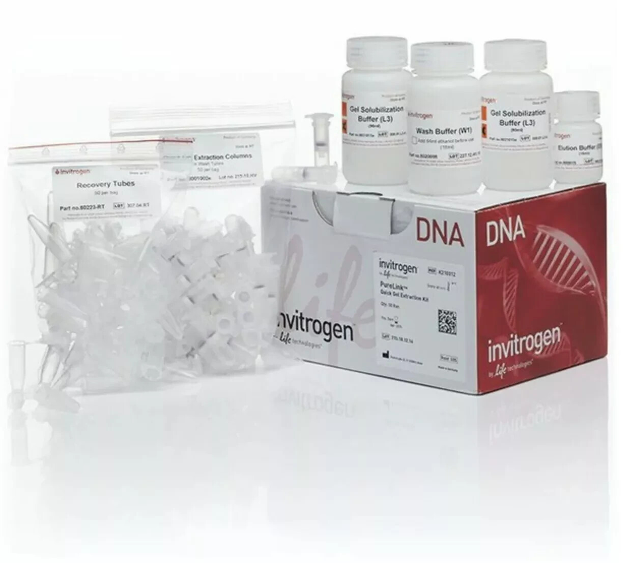 Invitrogen PureLink Quick Gel Extraction Kit K210012 (50 Prep Box) | eBay
