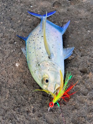 Shoreline Fishing Flies 4" Whipping Shore Casting Fish Flies Hawaiian Papio  Ulua | eBay