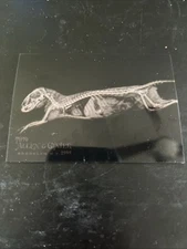 2024 Topps Allen & Ginter Dwarf Mongoose X-Ray #XR-14