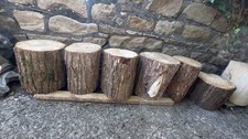 Tree Stumps Rustic Stools Hardwood seats garden home furniture(sizes In Photo)🪵