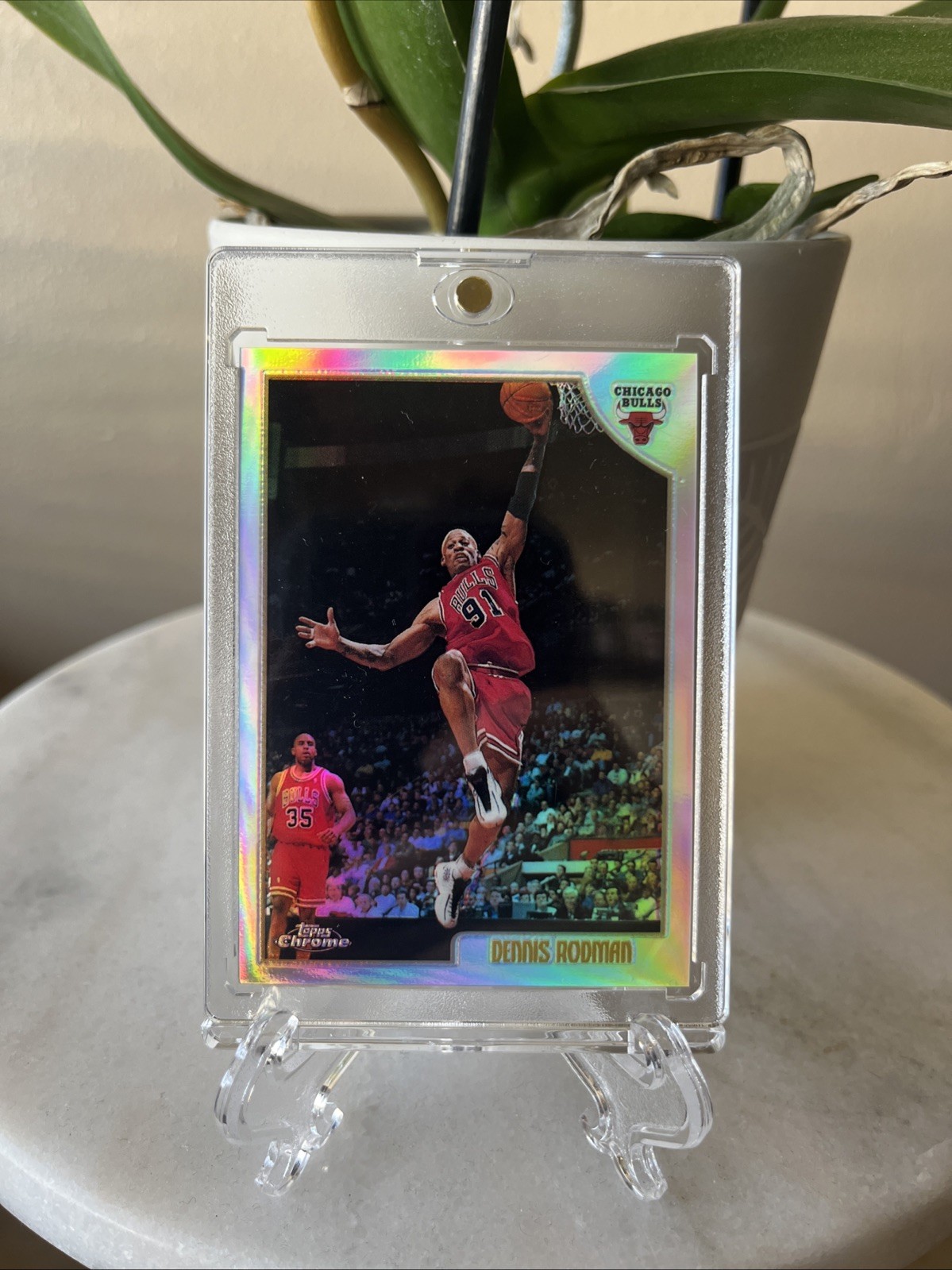 1998-99 Topps Chrome - Dennis Rodman #109 Refractor