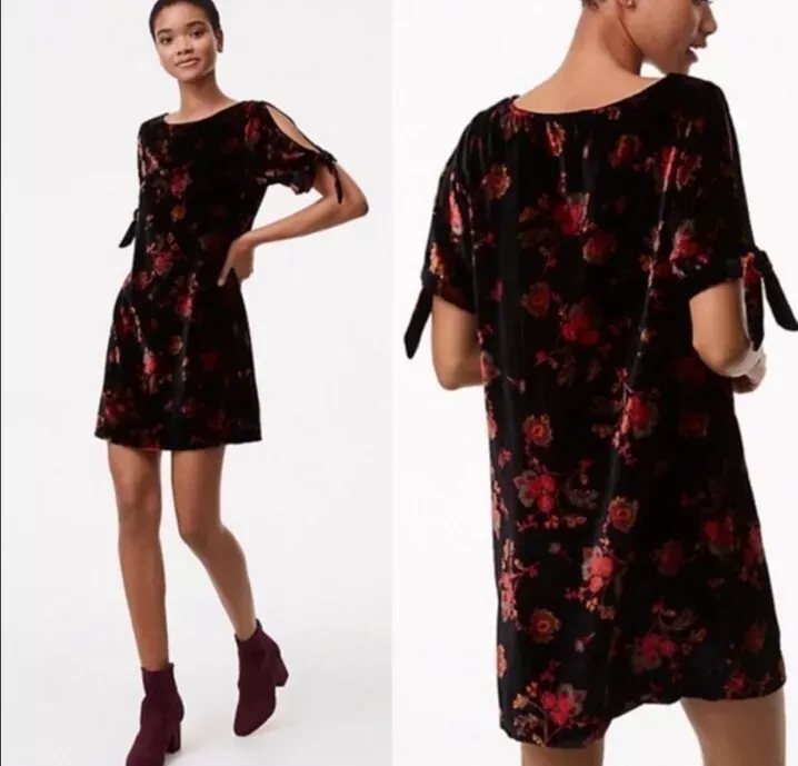 Loft velvet dress cheap